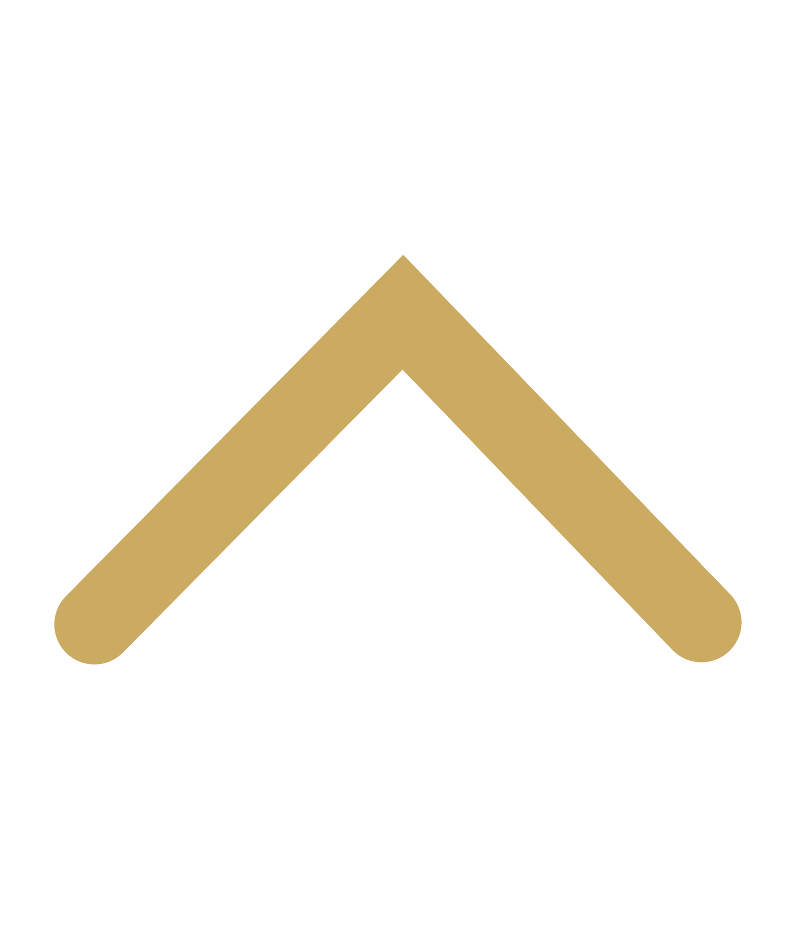 ugrás az oldal tetejére